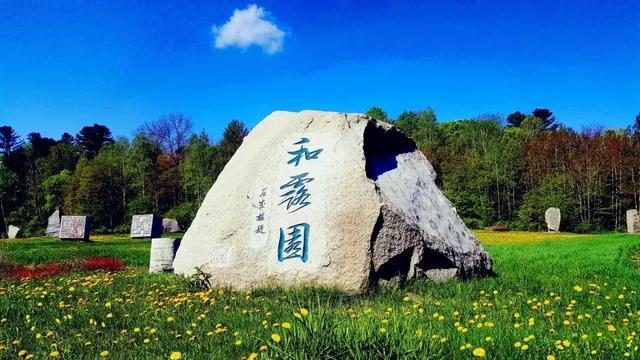 漂亮女孩清洗车