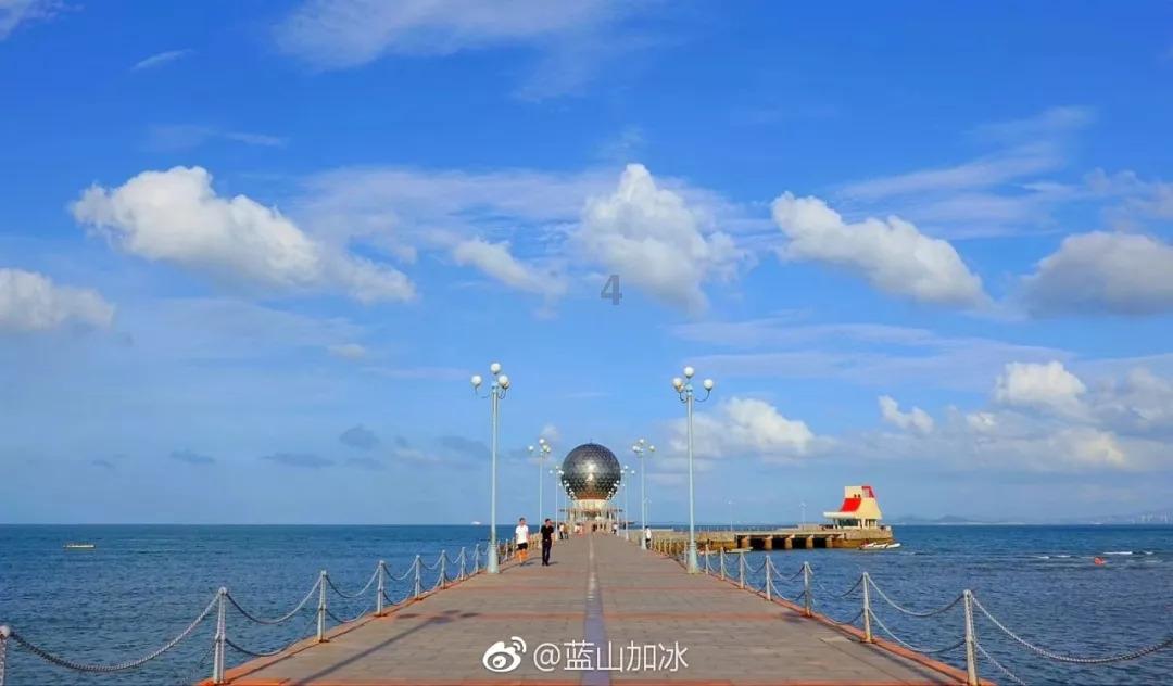 救援小肥兔